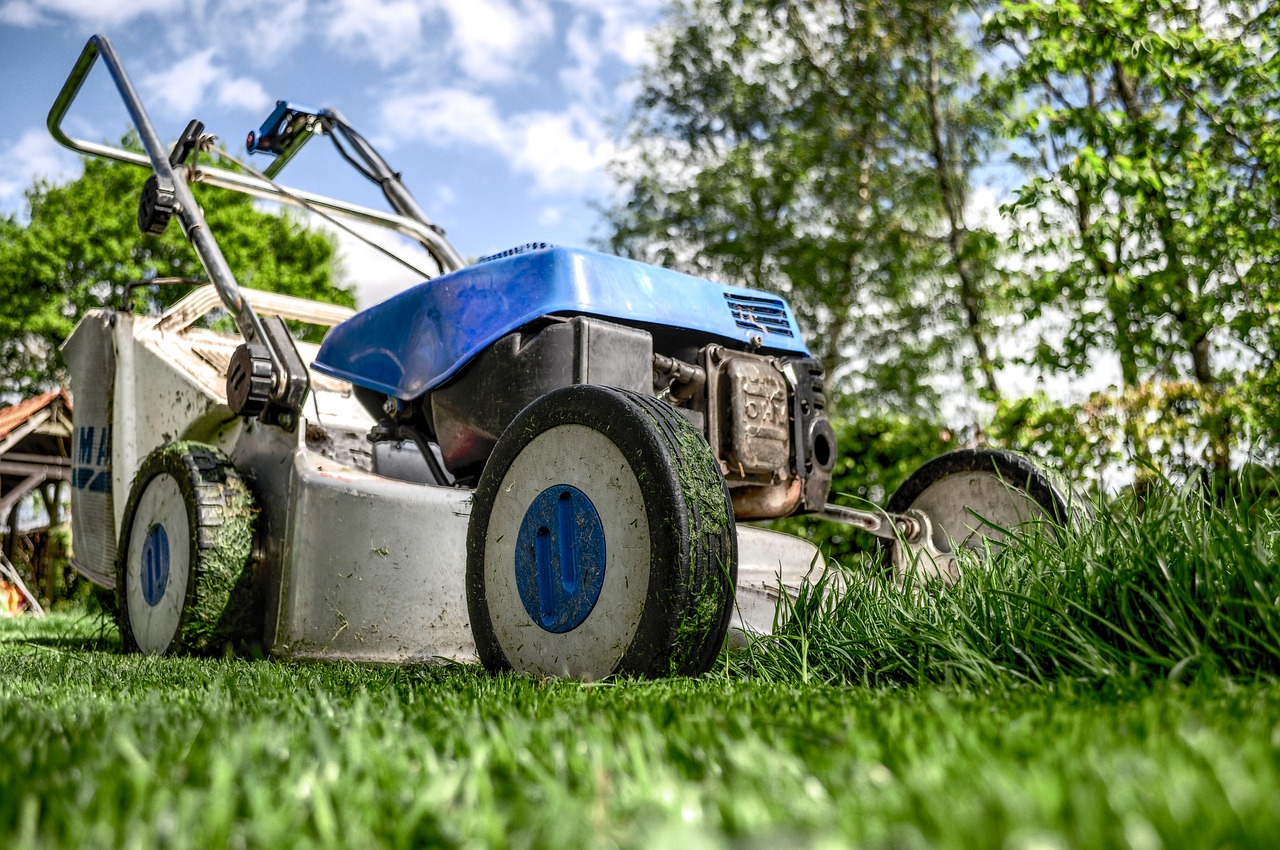 lawn mower, grass, garden, front yard, gardening, lawn-mower chassis, lawn, cutting, gardener, equipment, nature, machine, backyard, mower, maintenance, yard